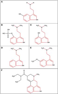 1H Nuclear Magnetic Resonance: A Future Approach to the Metabolic Profiling of Psychedelics in Human Biofluids?